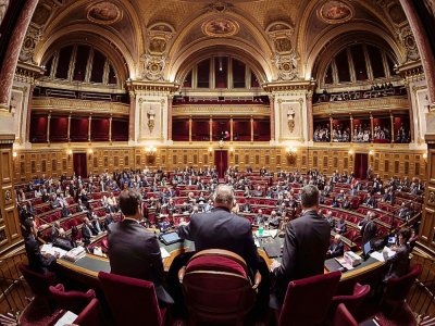 L'hémicycle du Sénat à Paris le 17 novembre 2016 - LIONEL BONAVENTURE [AFP/Archives]