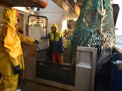 Des pêcheurs récupèrent des poissons  à bord du chalutier "Le Marmouset III", dans les eaux anglaises de la Manche, le 28 septembre 2020 - Nicolas GUBERT [AFP]