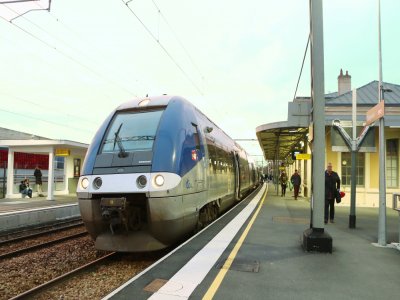 Le train a été endommagé après avoir percuté deux chiens sur la ligne ferroviaire, entre les gares de Yvetot et Bréauté, ce lundi 5 octobre.