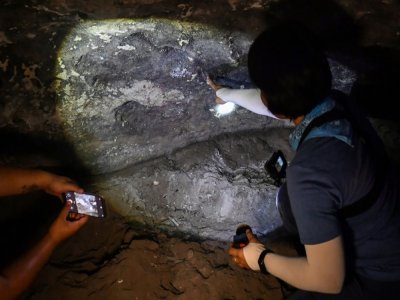 Des archéologues thaïlandais examinent les peintures rupestres découvertes au parc national de Sam Roi Yot, au sud-ouest de Bangkok, le 10 septembre 2020 - Lillian SUWANRUMPHA [AFP]