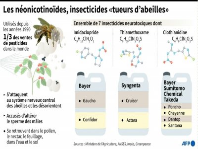 Les néonicotinoïdes, insecticides "tueurs d'abeilles" - [AFP]