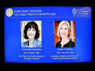 Les lauréates du prix Nobel de Chimie 2020, la Française Emmanuelle Charpentier (G) et l'Américaine Jennifer Doudna, à Stockholm, le 7 octobre 2020. - Henrik MONTGOMERY [TT News Agency/AFP]