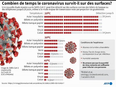 Combien de temps le coronavirus peut-il survivre? - John SAEKI [AFP]