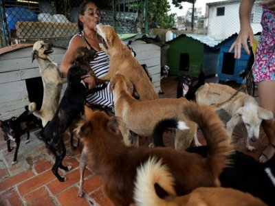 Noris Perez avec des chiens qu'elle a recueillis chez elle, le 29 septembre 2020 à La Havane, à Cuba - YAMIL LAGE [AFP]