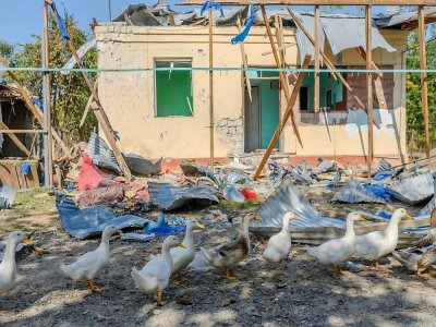 Des oies passent devant une maison détruite par les bombardements dans le village de Bakharly le 14 octobre 2020 - Bulent Kilic [AFP]