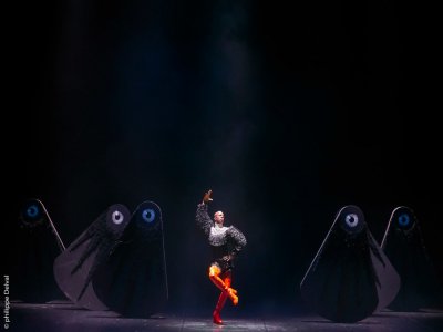 Le Ballet royal de la nuit connaît un immense succès en 2017 au théâtre de Caen. La pièce se joue à nouveau ce week-end, du vendredi 23 au dimanche 25 octobre. - ©Philippe Delval l théâtre de Caen