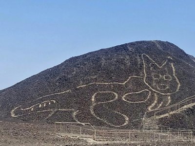 Un nouveau géoglyphe, vieux de plus de 2.000 ans et représentant un félin, photographié le 15 octobre 2020 à Nazca - - [Peruvian Ministry of Culture/AFP]