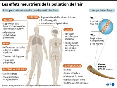 Les effets meurtriers de la pollution de l'air - Alain BOMMENEL [AFP]