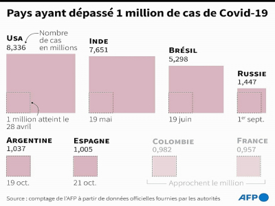 Pays ayant dépassé 1 million de cas de Covid-19 - [AFP]