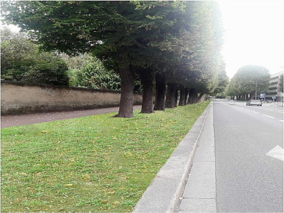 Une fois les travaux finis, le boulevard Bertrand, à Caen, disposera d'espaces végétalisés au pied des arbres. Les travaux ont débuté le lundi 19 octobre. - Caen la mer