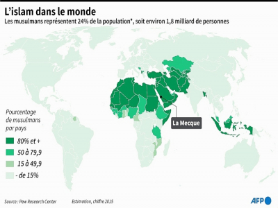 L'islam dans le monde - Laurence SAUBADU [AFP]