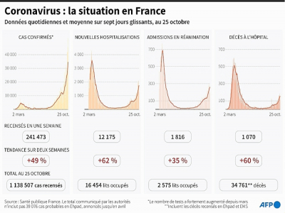 Coronavirus : la situation en France - Simon MALFATTO [AFP]