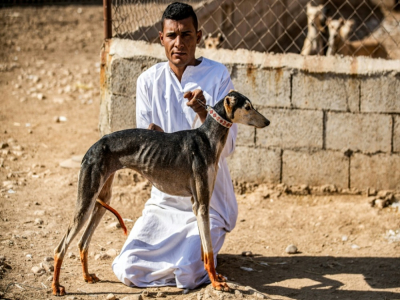 Mohammed Derbas éleveur de lévriers est assis à côté d'un de ses chiens, dans le village de Derbassiyé (nord-est de la Syrie), le 26 octobre 2020 - Delil SOULEIMAN [AFP]
