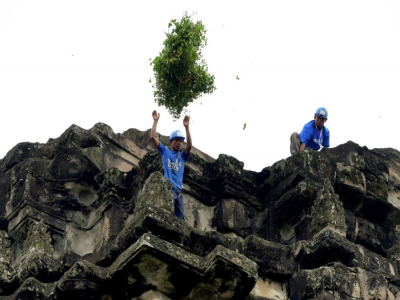 Un jardinier jette des pousses d'arbre arrachées sur le temple d'Angkor Wat, le 12 octobre 2020 - TANG CHHIN Sothy [AFP]