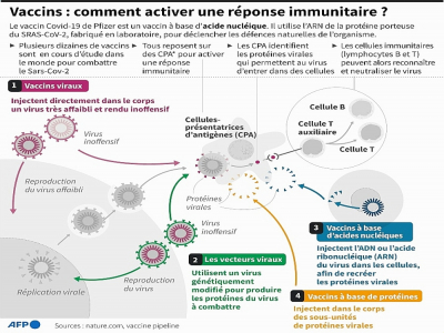 Vaccins et réponse immunitaire - John SAEKI [AFP]