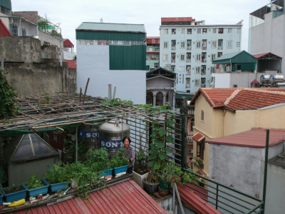 Le Thi Thanh Thuy fait pousser des légumes sur le toit de sa maison, le 3 novembre 2020 à Hanoï, au Vietnam - Manan VATSYAYANA, Manan VATSYAYANA [AFP]