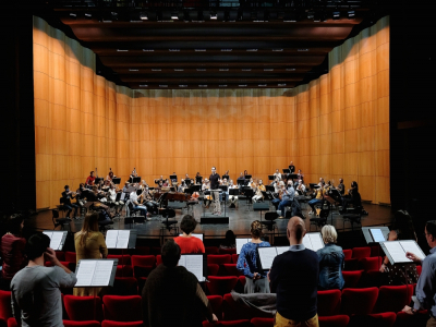Les musiciens de l'Opéra de Rouen sont autorisés à répéter pendant le confinement, dans le respect des règles sanitaires. - Arnaud Bertereau
