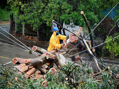Un employé travaille à dégager d'une route un arbre arraché par la tempête tropicale Iota à Tegucigalpa (Honduras) le 17 novembre 2020 - Orlando SIERRA [AFP]