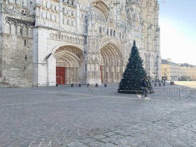 Un premier sapin a été installé, mercredi 18 novembre, sur le parvis de la cathédrale de Rouen et d'autres vont arriver.