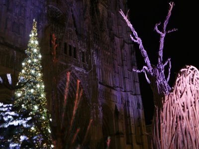 Une forêt de sapins et quelques décorations ont remplacé en 2020 les chalets du marché de Noël de Rouen.