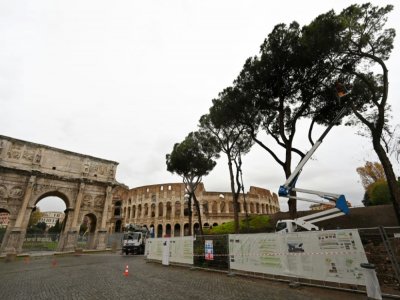 Vue générale des pins parasols à Rome près du Colisée, le 2 décembre 2020 - Alberto PIZZOLI [AFP]