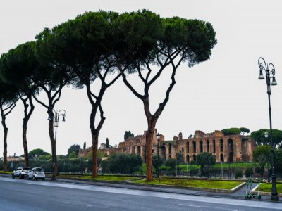 Le Circo Massimo, un ancien site romain, derrière des pins parasols, le 2 décembre 2020 à Rome - Alberto PIZZOLI [AFP]