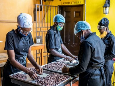 Le tri de fèves de cacao dans les ateliers de la chocolaterie Makaya à Petionville (Haïti) le 23 décembre 2020 - Valerie Baeriswyl [AFP]