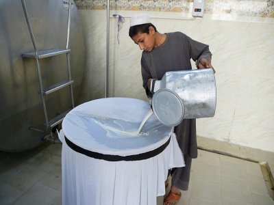 Un ouvrier filtre le lait dans l'unité de collecte de lait de Milko à Arghandab, province de Kandahar, le 30 septembre 2020 - WAKIL KOHSAR [AFP]