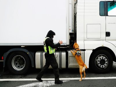 Un chien des douanes renifle un camion le 1er janvier 2021 au port de Calais - Sameer Al-DOUMY [AFP/Archives]
