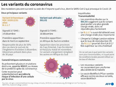 Variants du coronavirus - John SAEKI [AFP]