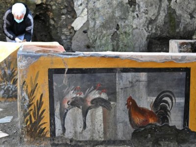 Une fresque mise au jour dans le quartier du thermopolium, sorte de "fast-food" de rue dans la Rome antique, le 25 janvier 2021 sur le site archéologique de Pompéi, près de Naples - Andreas SOLARO [AFP]