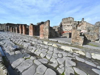 Vue générale du site archéologique de Pompéi, près de Naples, le 25 janvier 2021 - Andreas SOLARO [AFP]