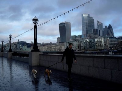 Un homme promène ses chiens, le 4 février 2021 à Londres - Niklas HALLE'N [AFP]