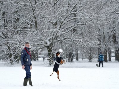 Un homme joue avec son chien, le 24 janvier 2021 dans un parc près de Londres - ADRIAN DENNIS [AFP]