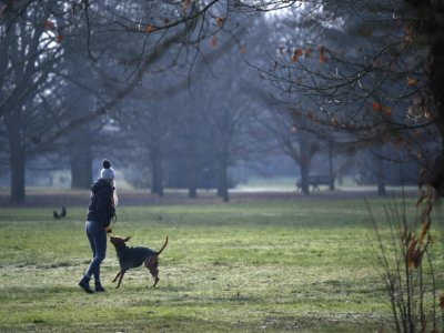 Une femme joue avec son chien dans un parc de Londres, le 23 janvier 2021 - DANIEL LEAL-OLIVAS [AFP/Archives]