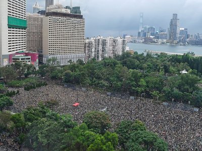 Des manifestants prodémocratie rassemblés à Victoria Park, le 18 août 2029 à Hong Kong - Manan VATSYAYANA [AFP]