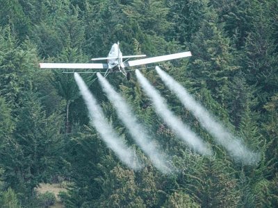 Un avion répand du pesticide au dessus d'un essaim de criquets, à Meru le 9 février 2021 - Yasuyoshi CHIBA [AFP]