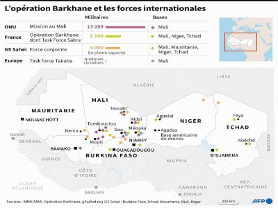 Sahel : l'opération Barkhane et les forces internationales - [AFP]