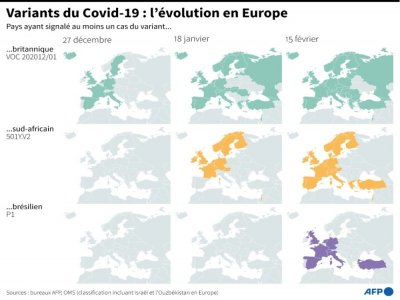 Variants du Covid-19 : l'évolution en Europe - Sabrina BLANCHARD [AFP]