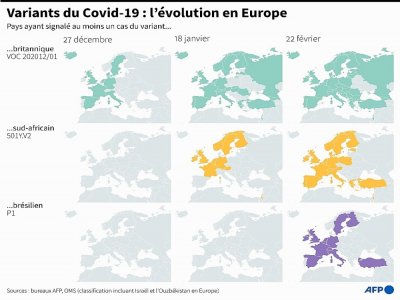 Evolution de la propagation des variants en Europe depuis fin décembre - Sabrina BLANCHARD [AFP]