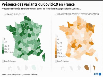 Proportion des variants en France parmi les tests de criblage positifs au Covid-19, au 24 février - Cléa PÉCULIER [AFP]