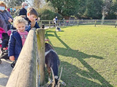 Malo et Jeanne ont pu caresser les chèvres dans la ferme du parc de la Colline aux oiseaux.
