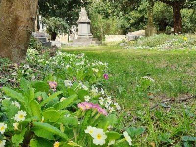 Derrière le parc de la Venelle aux Champs, se trouve le cimetière dormant Saint-Jean.