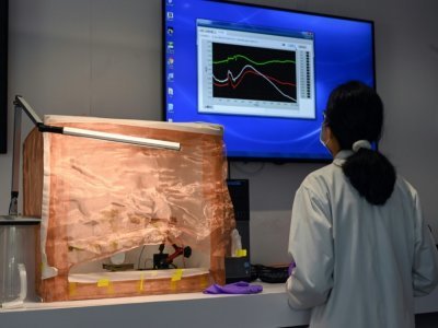 Une technicienne surveille sur un écran les signaux électriques émis par des plantes dans un laboratoire de l'université technologique Nanyang (NTU), le 24 mars 2021 à Singapour - Roslan RAHMAN [AFP]