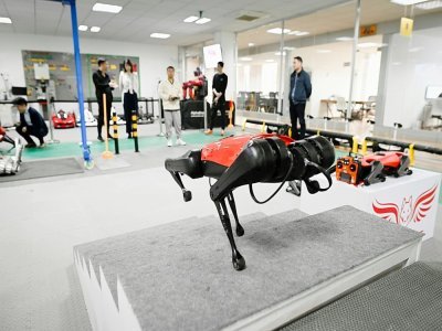 Un robochien dénommé AlphaDog évolue dans l'atelier de l'entreprise Weilan à Nankin, le 2 avril 2021 - WANG ZHAO [AFP]