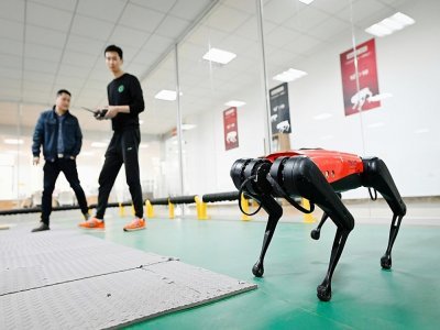 Des ingénieurs font évoluer un robochien baptisé AlphaDog, dans l'atelier de l'entreprise Weilan, à Nankin, le 2 avril 2021 - WANG ZHAO [AFP]
