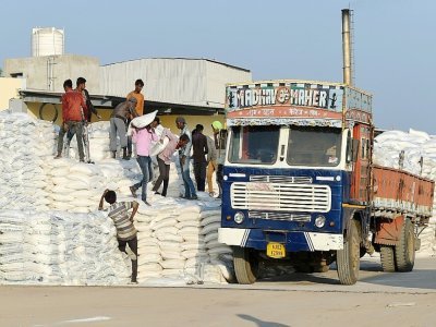Des paludiers chargent un camion de sacs de sel, le 8 janvier 2021 à Kharaghoda, en Inde - SAM PANTHAKY [AFP]