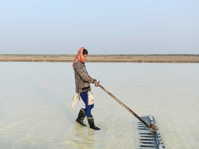 Le paludier indien Roshni Thakor travaille dans un marais salant à Kharaghoda, près d'Ahmedabad, le 8 janvier 2021 - SAM PANTHAKY [AFP]