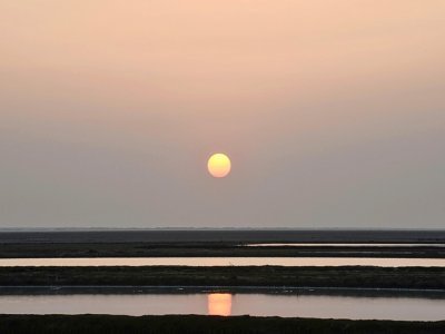 Le soleil couchant se reflète le 8 janvier 2021 dans un marais salant à Kharaghoda, en Inde - SAM PANTHAKY [AFP]