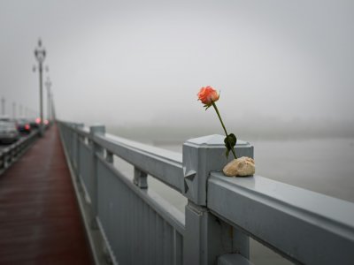 Une fleur sur le pont de Nankin, enjambant le Yangtsé, en Chine, le 2 avril 2021 - WANG ZHAO [AFP]